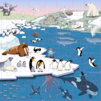 Vocabulary puzzle polar regions l Wooden puzzles l 49 puzzle pieces l Educo