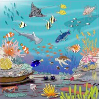 Vocabulary puzzle coral l Wooden puzzles l 49 puzzle pieces l Educo