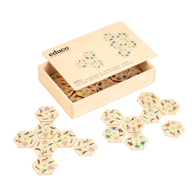 Hexagon game – theme nature