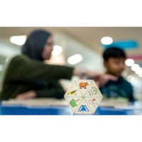 Hexagon game – theme nature