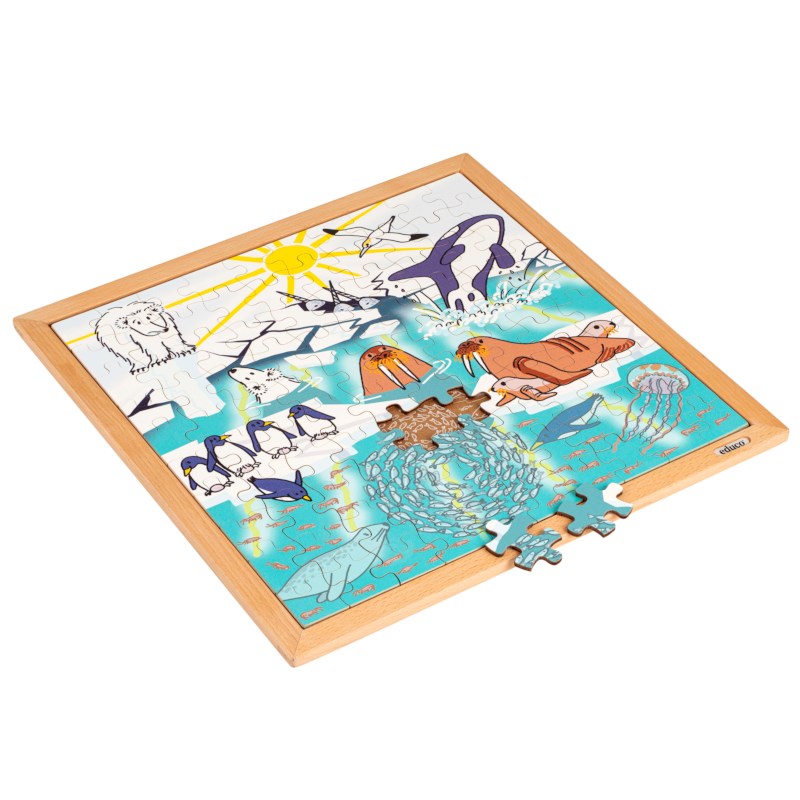 Nature&Climate puzzle-Global warming