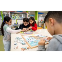 Nature&Climate puzzle-Global warming