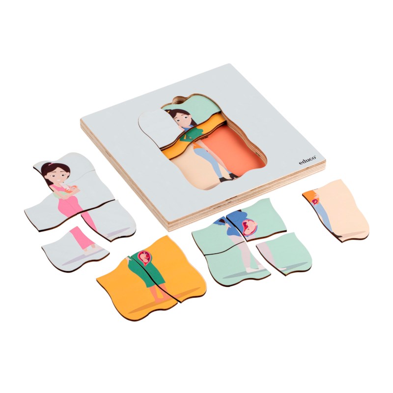 Growth puzzle - human life cycle