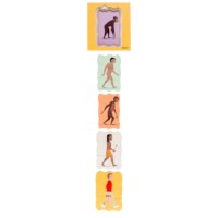 Growth puzzle - evolution