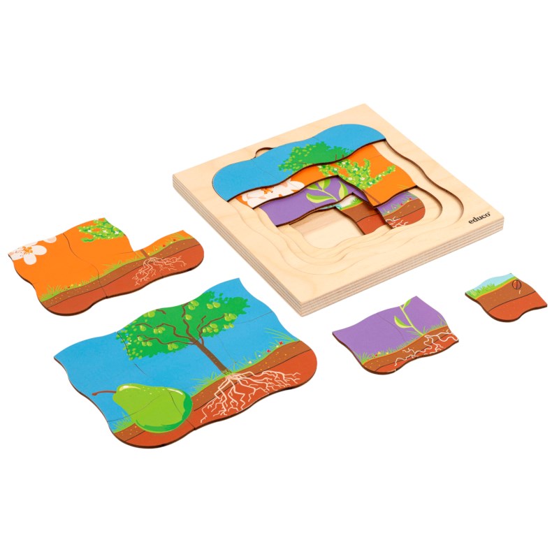 Growth puzzle - pear