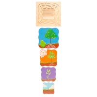 Growth puzzle - pear