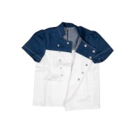 Chef - costume