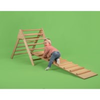 Ladder - large
