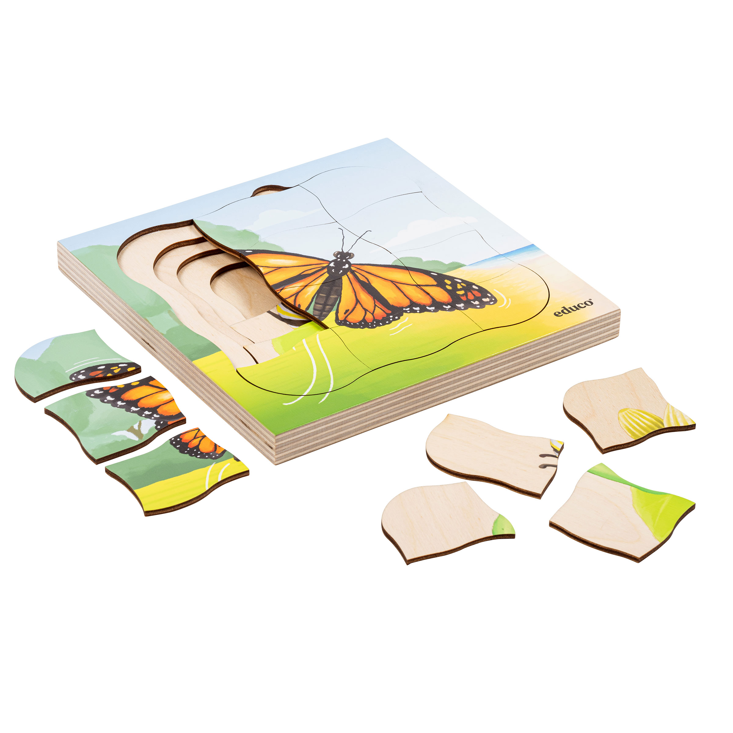 3/1専用 USOrg エルヴィス1st +UKOrg Butterfly In the forest - growth butterfly | Educo | Layer puzzle | 31