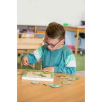 In the forest - growth frog | Educo | layer puzzle | 31 puzzle pieces | GROEIGEHEIM.
