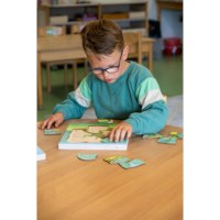In the forest - growth frog | Educo | layer puzzle | 31 puzzle pieces | GROEIGEHEIM.