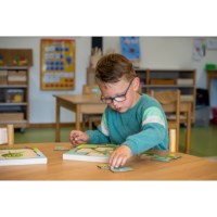 In the forest - growth frog | Educo | layer puzzle | 31 puzzle pieces | GROEIGEHEIM.