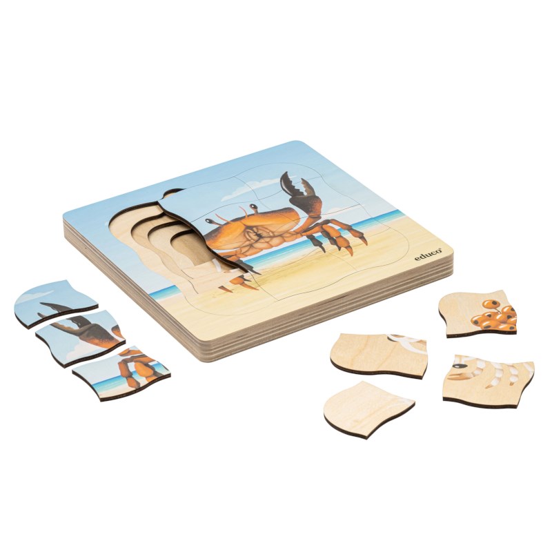 On the beach - growth crab | Educo | layer puzzle | 31 puzzle pieces | GROEIGEHEIM. 