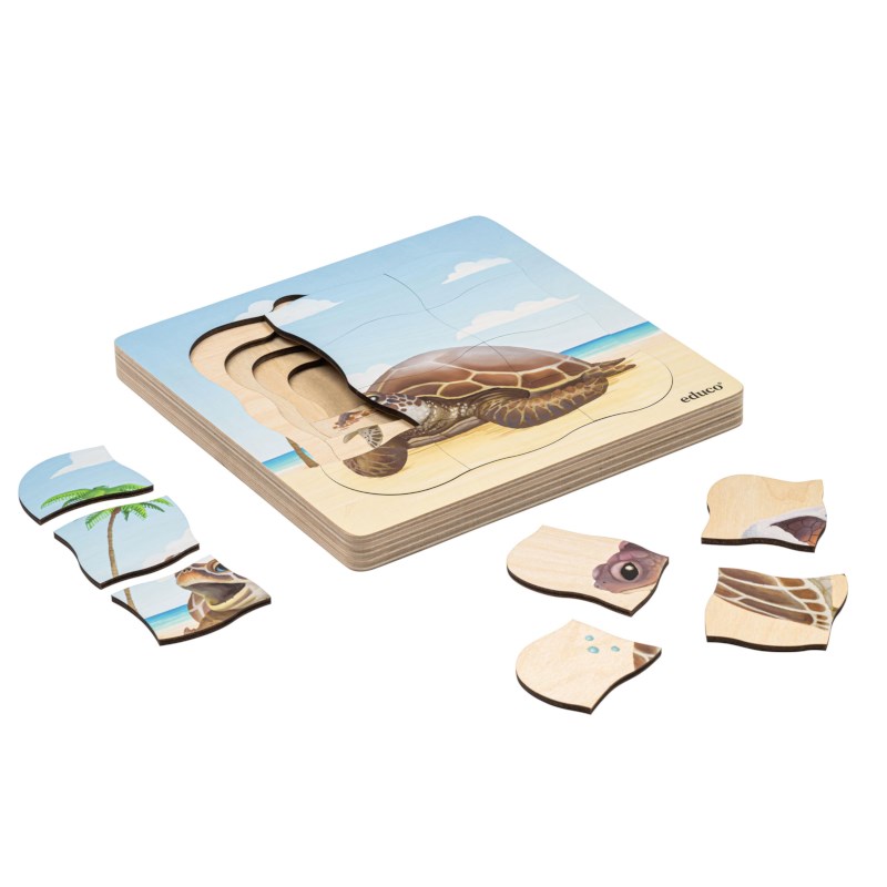 On the beach - growth sea turtle | Educo | layer puzzle | 31 puzzle pieces | GROEIGEHEIM. 