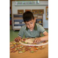 Habitats - forest | Educo | jigsaw puzzle | 49 puzzle pieces | NATUURLIJK.