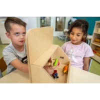 Tactile box wood