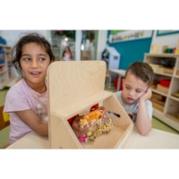 Tactile box wood