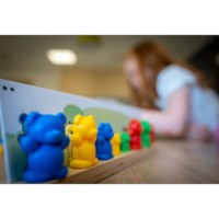 Bear sorting game