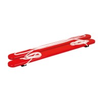 Summer skis 2 people